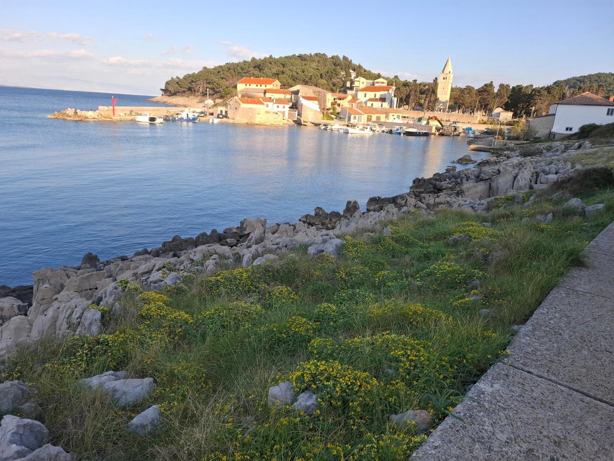 Apartments Suncica Mali Lošinj Екстериор снимка